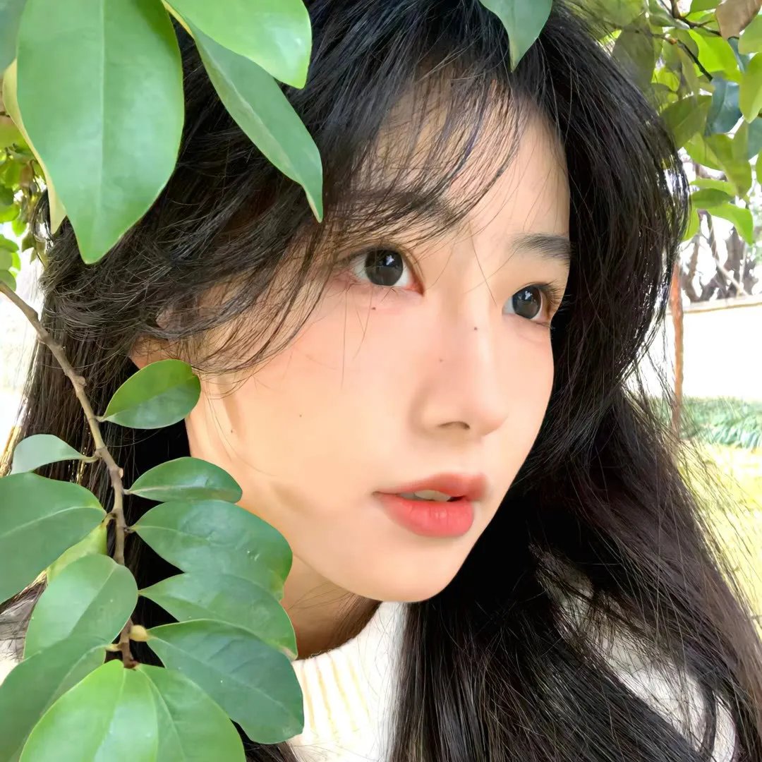 法伦杰